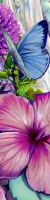 Flora